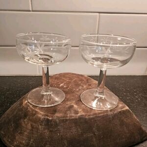 Champagne/dessert tall stemmed glasses with etched flowers with leaves set of 2